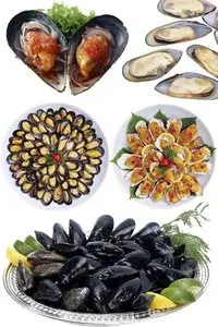 Dish of oysters and mussels - photo stock