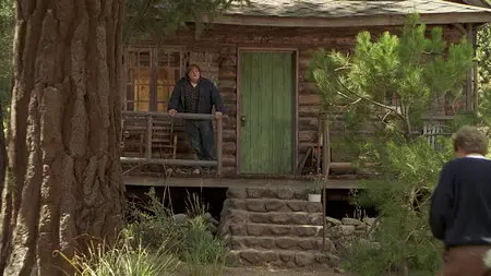 Black Sheep (1996)