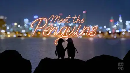 ABC - Meet The Penguins (2022)
