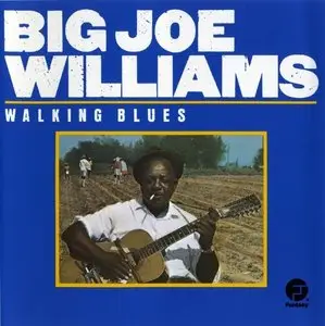 Big Joe Williams - Walking Blues - 1961 (1992)