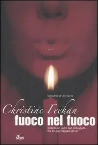 Christine Feehan - Fuoco nel fuoco