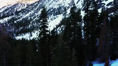 Extinct or Alive S02E10