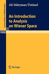 An Introduction to Analysis on Wiener Space