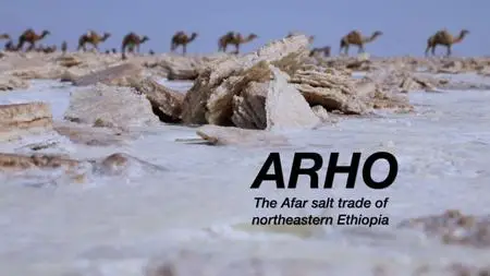 Till J F Trojer - Arho: The Afar Salt Trade of Northeastern Ethiopia (2021)