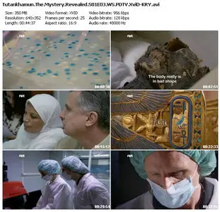 FIVE - Tutankhamun: The Mystery Revealed S01E03 (2010)