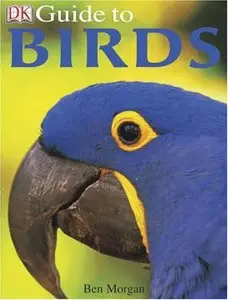 DK Guide to Birds (DK Guides) [Repost]