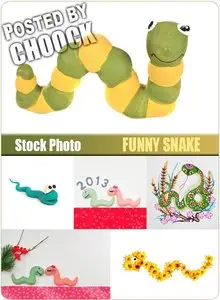 Funny snake - Stock Photo