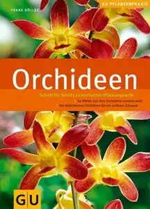 Orchideen: Schritt für Schritt zu exotischer Pflanzenpracht by Frank Röllke