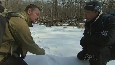 PBS - Nature S30E14 Siberian Tiger Quest (2012)