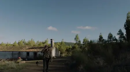 Restos do Vento / Remains of the Wind (2022)