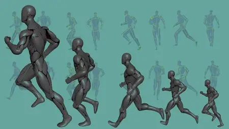 The Structured Method Of 3D Animation: Human Run Cycle