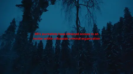 The Russian Deception (2024)