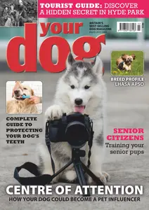 Your Dog - March 2025