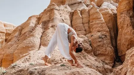 Embodied Resilience: Somatics & Nervous System Regulation
