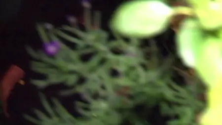 Police Interceptors S13E06