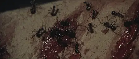 Ultimo mondo cannibale / Last Cannibal World (1977)