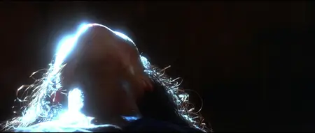 Heaven & Earth (1993)