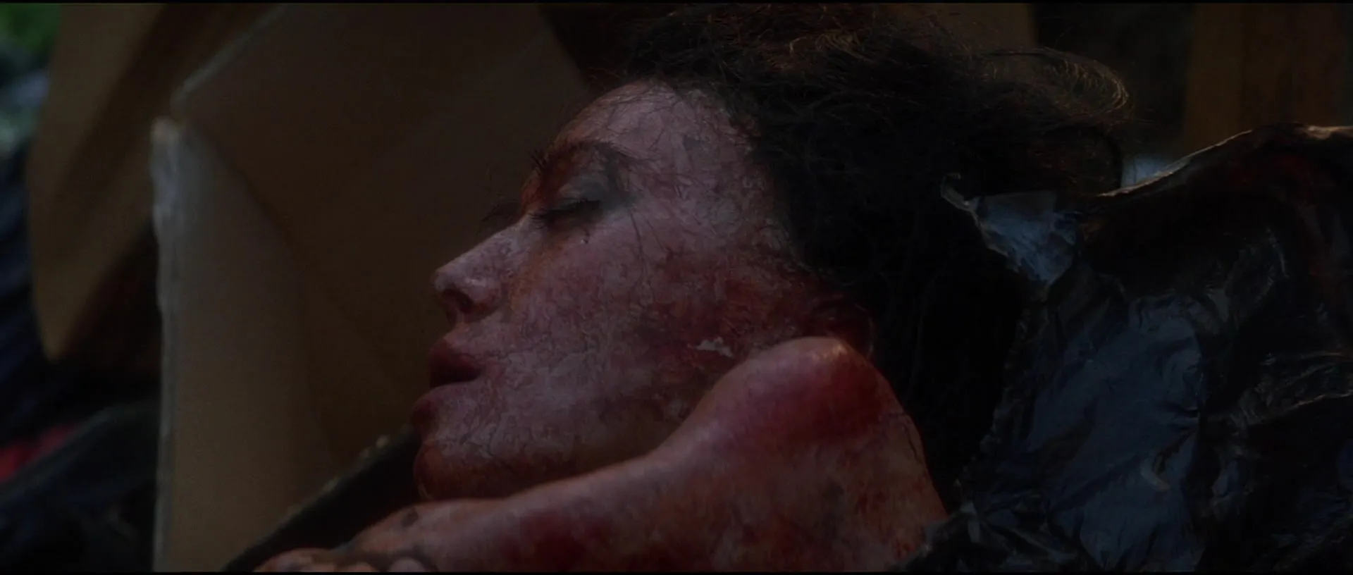 Heaven & Earth (1993)