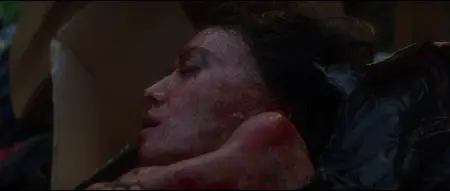 Heaven & Earth (1993)