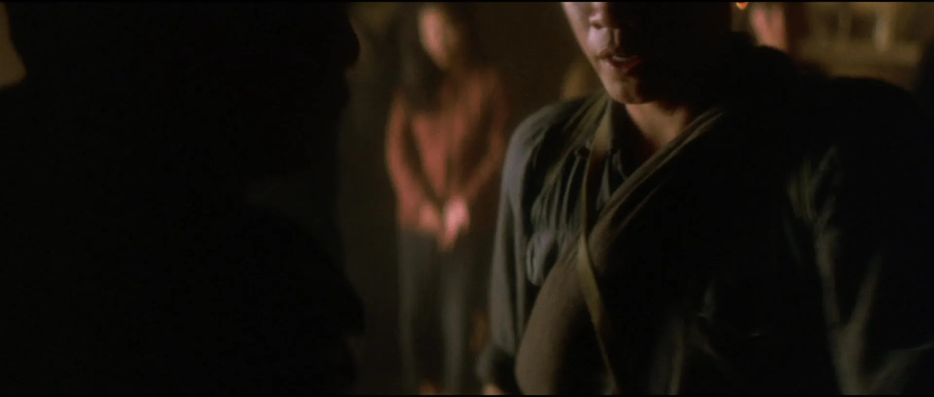 Heaven & Earth (1993)