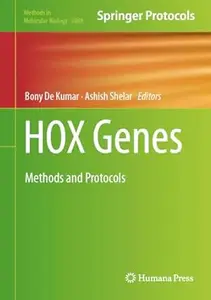 HOX Genes