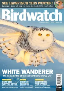 Birdwatch UK - December 2024