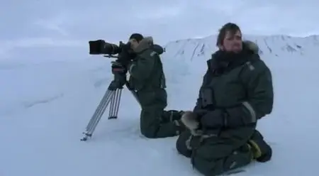 Discovery Channel - Face to Face with the Polar Bear (2005)