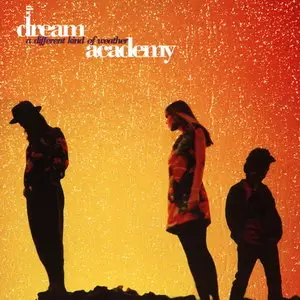 The Dream Academy - A Different Kind Of Weather (1990)