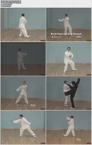 Simplified Tai Chi Chuan