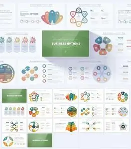 Business Options - PowerPoint Infographics Slides
