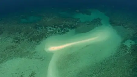 BBC - Great Barrier Reef (Repost)