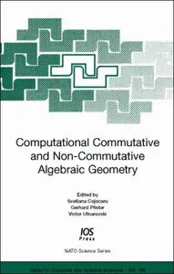 Computational Commutative and Non-Commutative Algebraic Geometry (Repost)
