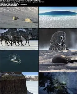 David Attenborough Frozen Planet S01E01