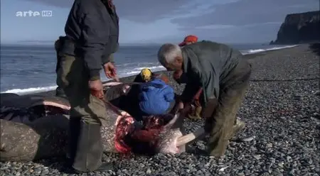 (Arte) Les enfants de la baleine (2013)