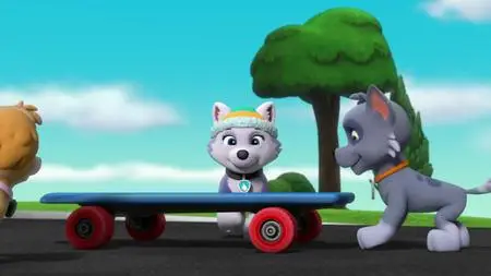 Paw Patrol S05E41