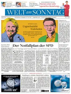 Die Welt am Sonntag 08 September 2013