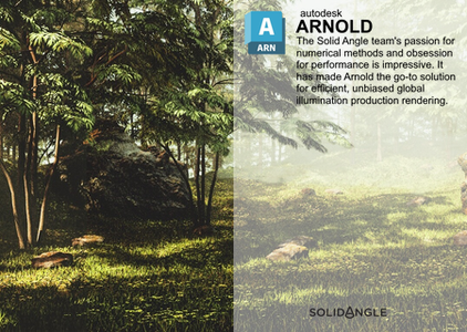 Solid Angle Cinema 4D to Arnold 4.5.1.2