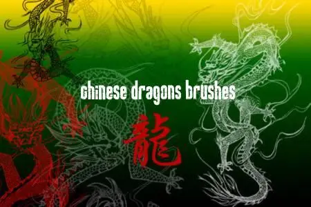 Chinese Dragons Brushes 1