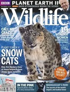 BBC Wildlife Magazine – October 2016