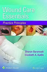 Wound Care Essentials: Practice Principles 4th Edition