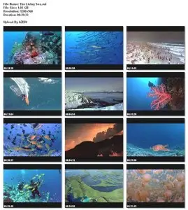 IMAX - The Living Sea