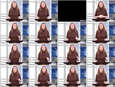 CISSP Video Training by Shon Harris 10xDVDRip 2007