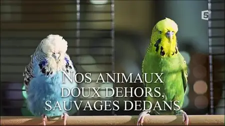 (Fr5) Nos animaux, doux dehors, sauvages dedans (2015)