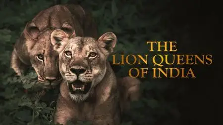 Discovery Channel - The Lion Queens of India (2015)