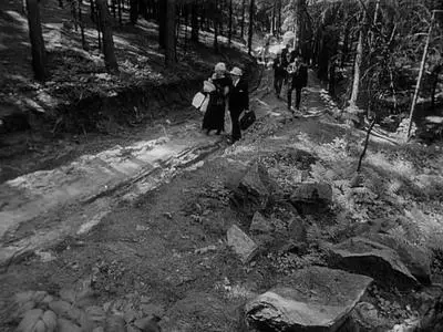 Jan Nemec - O slavnosti a hostech (The Party and the Guests, 1966)