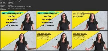 Mastering French Delf A1/A2 Grammar And Vocabulary