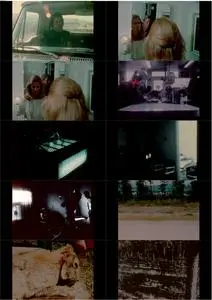 Last Chants for a Slow Dance (1977)