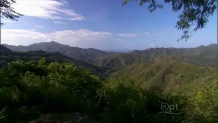 PBS Nature - Cuba: The Accidental Eden (2010) (Repost)