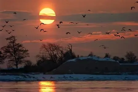 World In Photo 270
