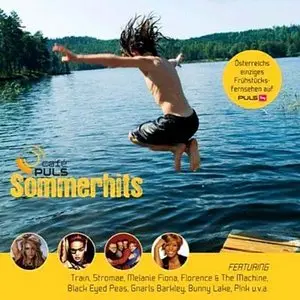 VA - Cafe Puls Sommerhits (2010)
